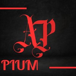 APIUM ANDRII PETRUSHKA - Serwis Wentylacji Warszawa