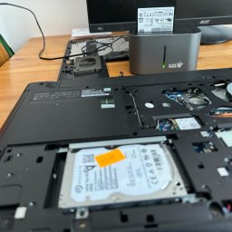 Laptop na tle Silver Monkey