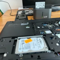 Laptop na tle Silver Monkey