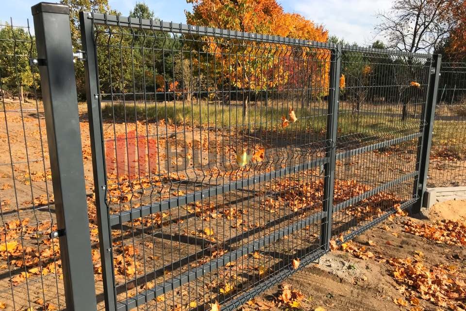 Grafitowe ogrodzenie panelowe z bramką, widoczne jesienne liście na ziemi i drzewa w tle.