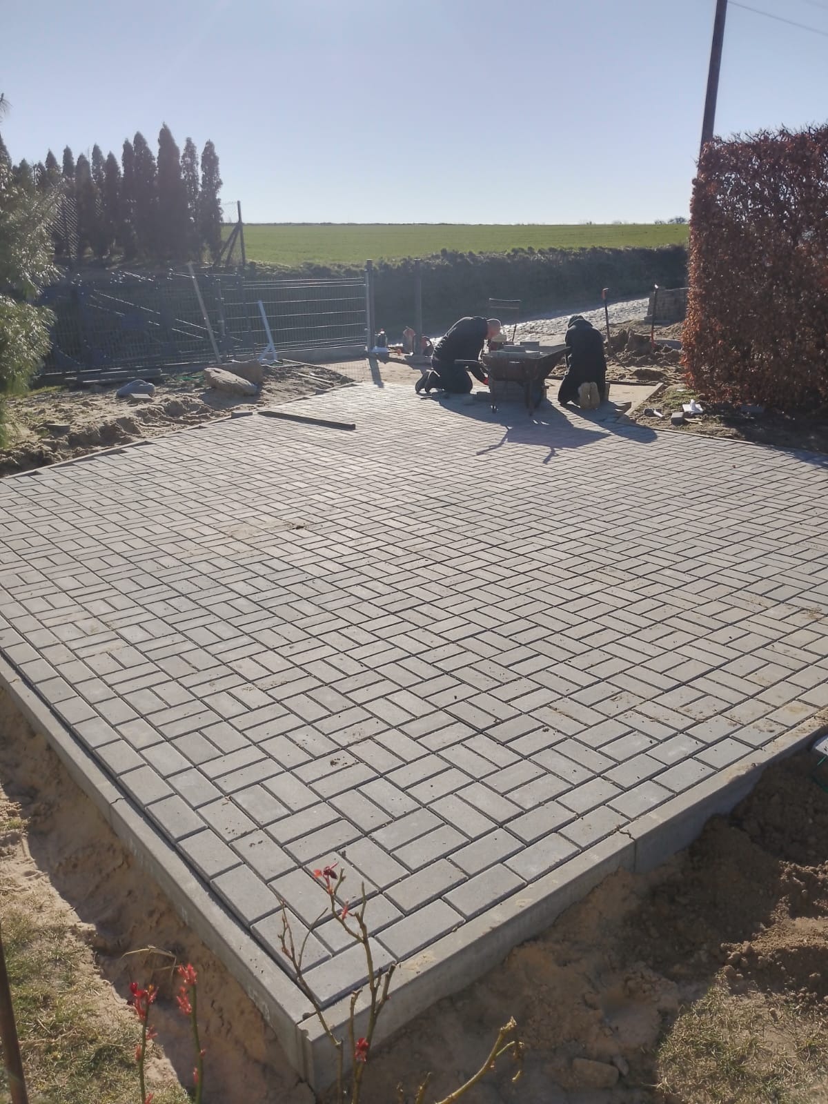 Ułożona powierzchnia z szarej kostki brukowej w jodełkę, z dwoma pracownikami układającymi kolejne elementy przy użyciu taczki, widok na teren z zielenią w tle.