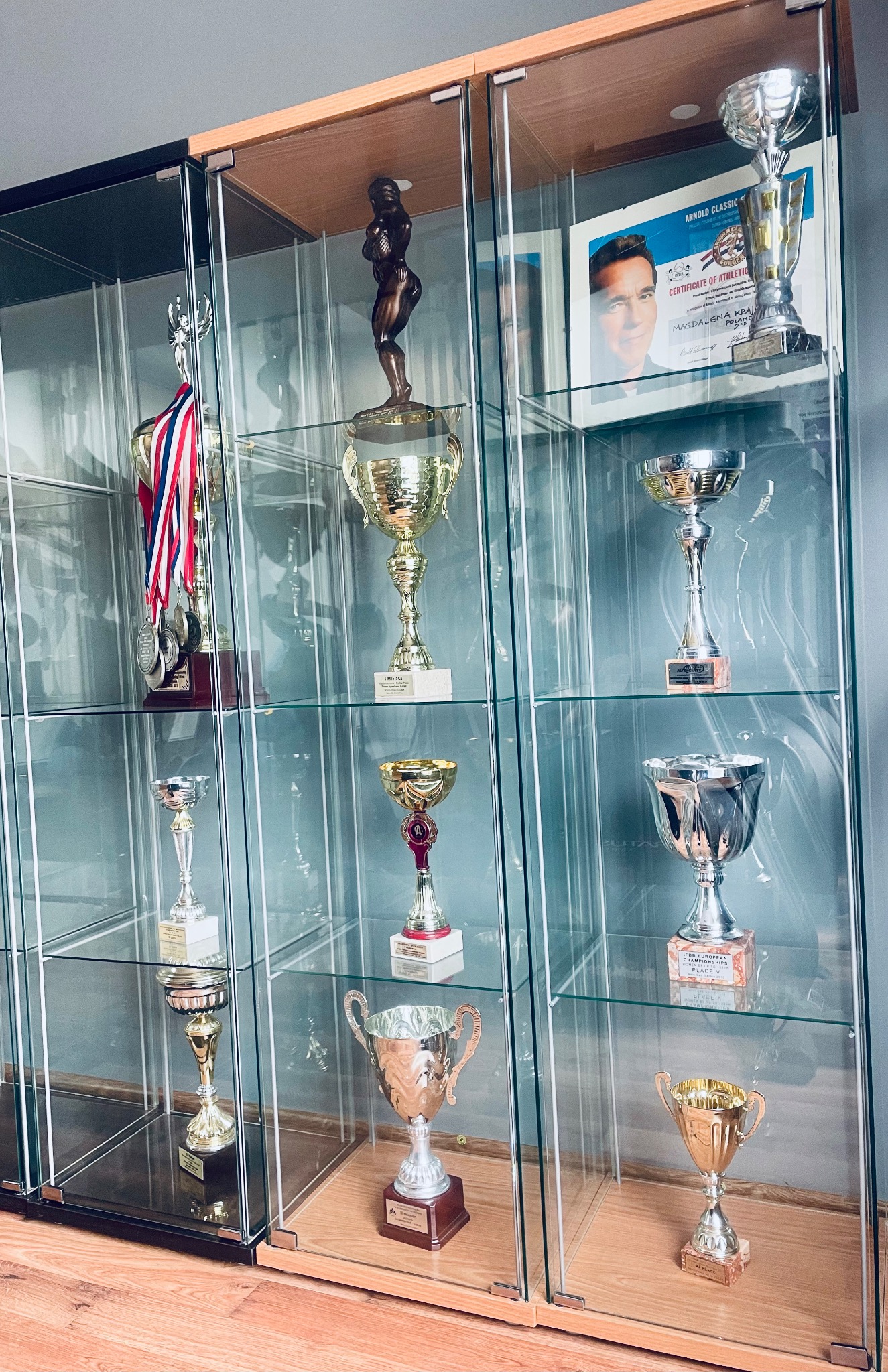 Moje medale, puchary z Mistrzostw Świata, Europy, Polski