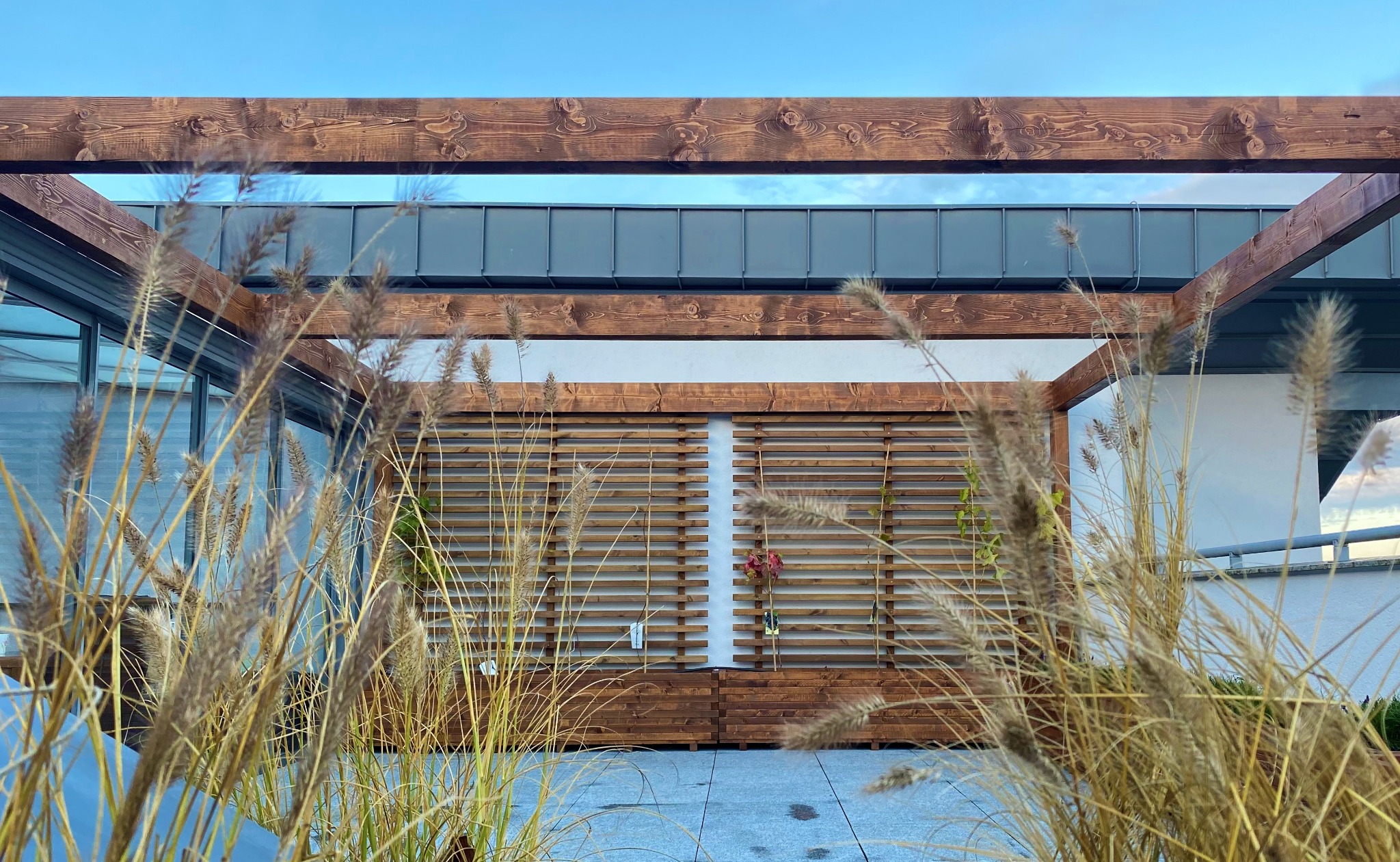 Pergola na tarasie z trejażem na pnące rośliny