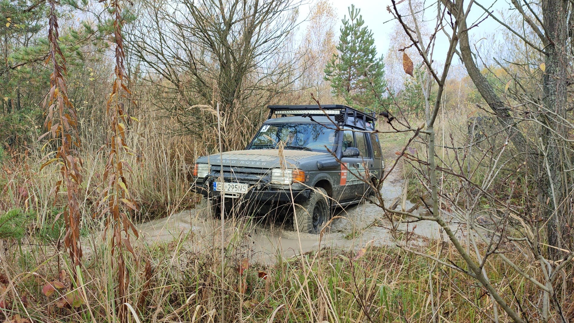 Czarny Land Rover Discovery z bagażnikiem dachowym i oświetleniem LED przedziera się przez błotniste rozlewisko w lesie, widoczne wysokie trawy i drzewa bez liści.