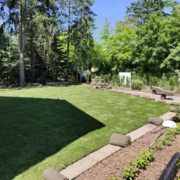 Rozległy trawnik z częściowo ułożoną trawą z rolki, widoczne rolki trawy na obrzeżach, taczka i grabie w tle, drzewa i krzewy okalające teren.