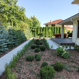 Zakładanie ogrodów Opacz 4