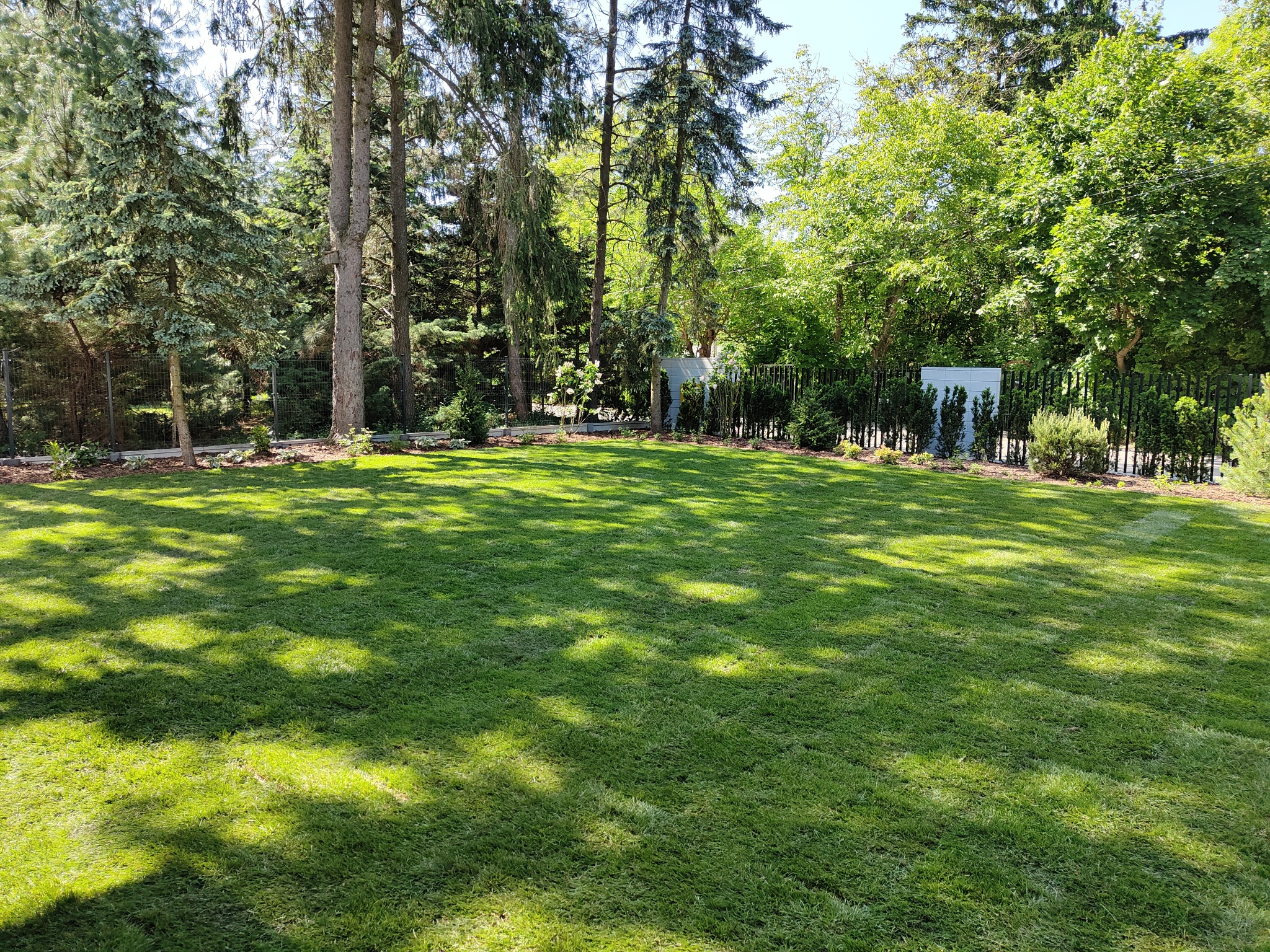 Starannie utrzymany trawnik z widocznymi cieniami drzew, otoczony drzewami iglastymi i liściastymi, z niskim ogrodzeniem w tle.