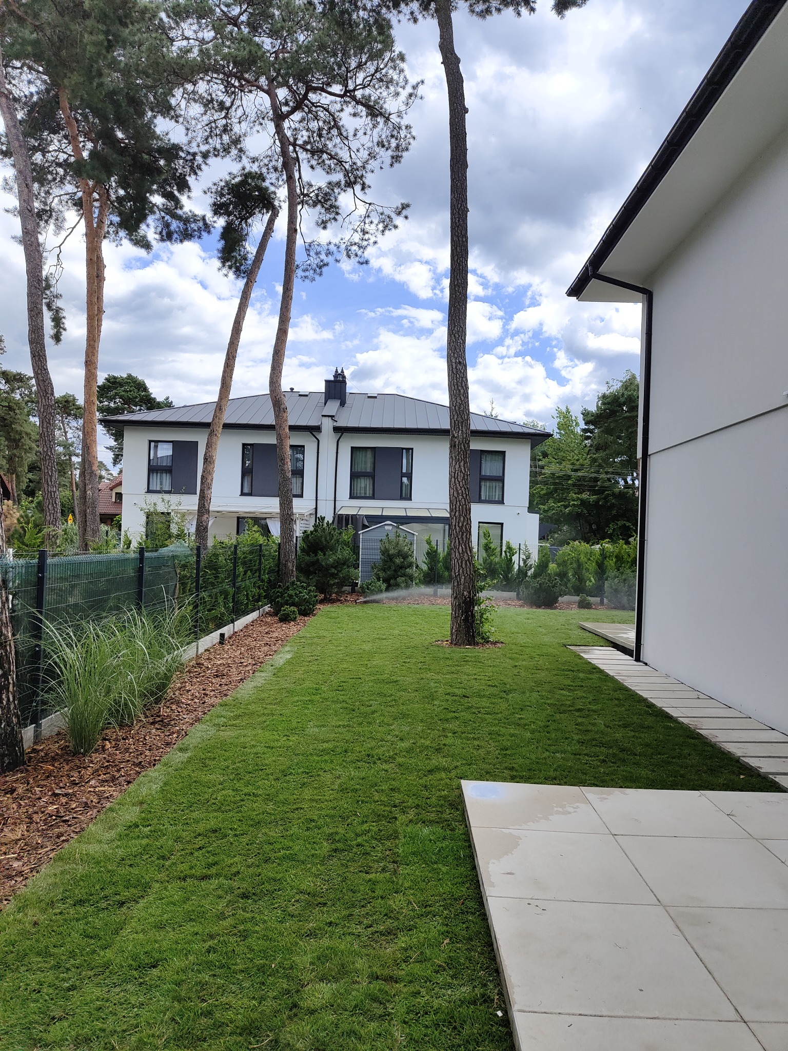 Świeżo założony trawnik z rolki w ogrodzie nowoczesnego domu, widoczne wysokie drzewa iglaste i system nawadniania w trakcie pracy.