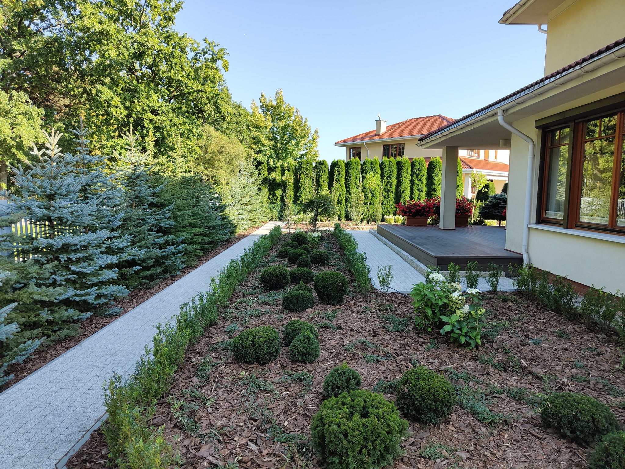 Uporządkowany ogród przydomowy z równo przyciętymi krzewami, ścieżką z kostki brukowej i drzewami iglastymi w tle, widok na dom z tarasem.