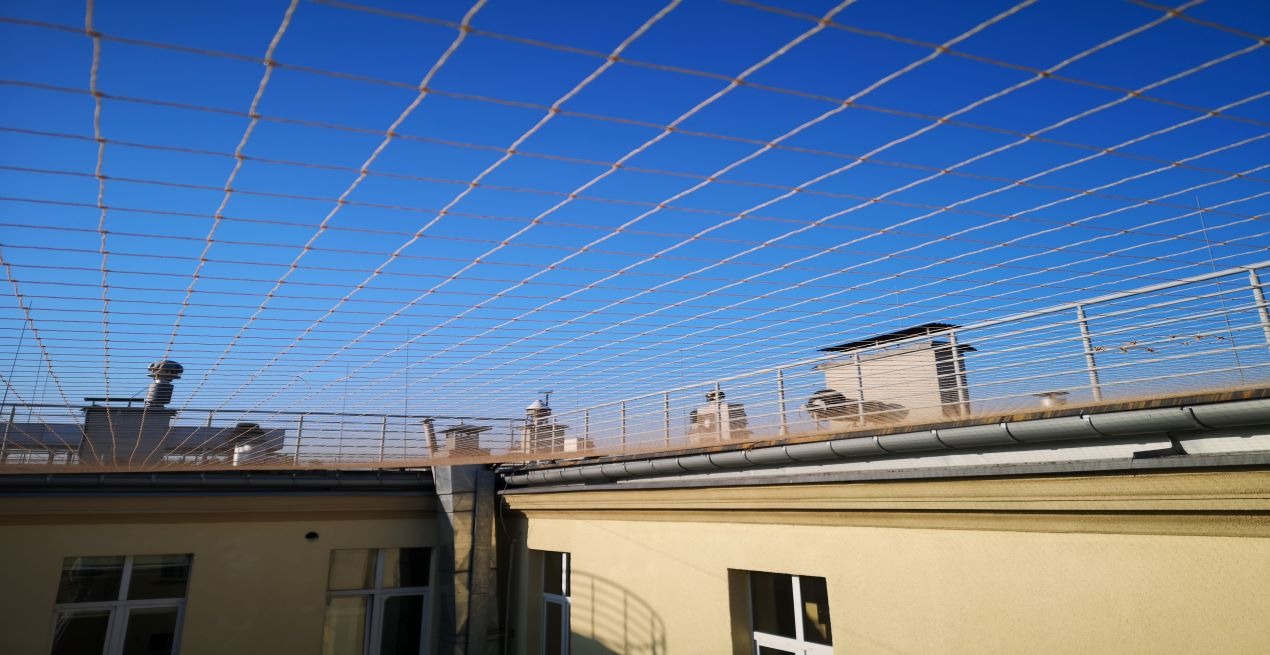 Montaż siatek antyptakowych