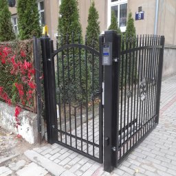 EZ INSTAL - Czarna, metalowa brama z domofonem na słupku, prowadząca na posesję z budynkiem oznaczonym numerem 9, otoczona tujami i pnączem z czerwonymi liśćmi.