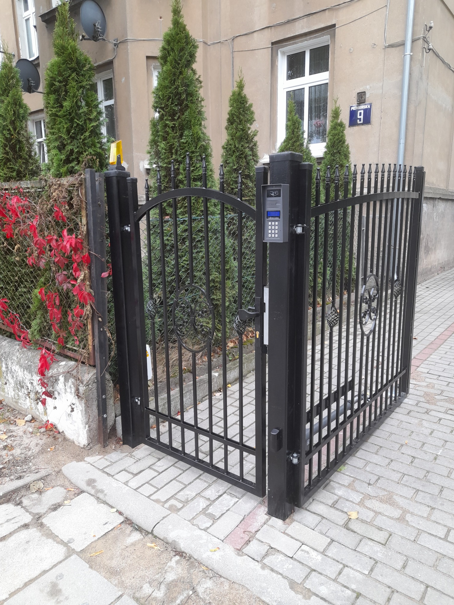 Czarna, metalowa brama z domofonem na słupku, prowadząca na posesję z budynkiem oznaczonym numerem 9, otoczona tujami i pnączem z czerwonymi liśćmi.