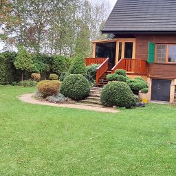 Wycinka drzew Warszawa 1