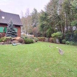 Wycinka drzew Warszawa 2