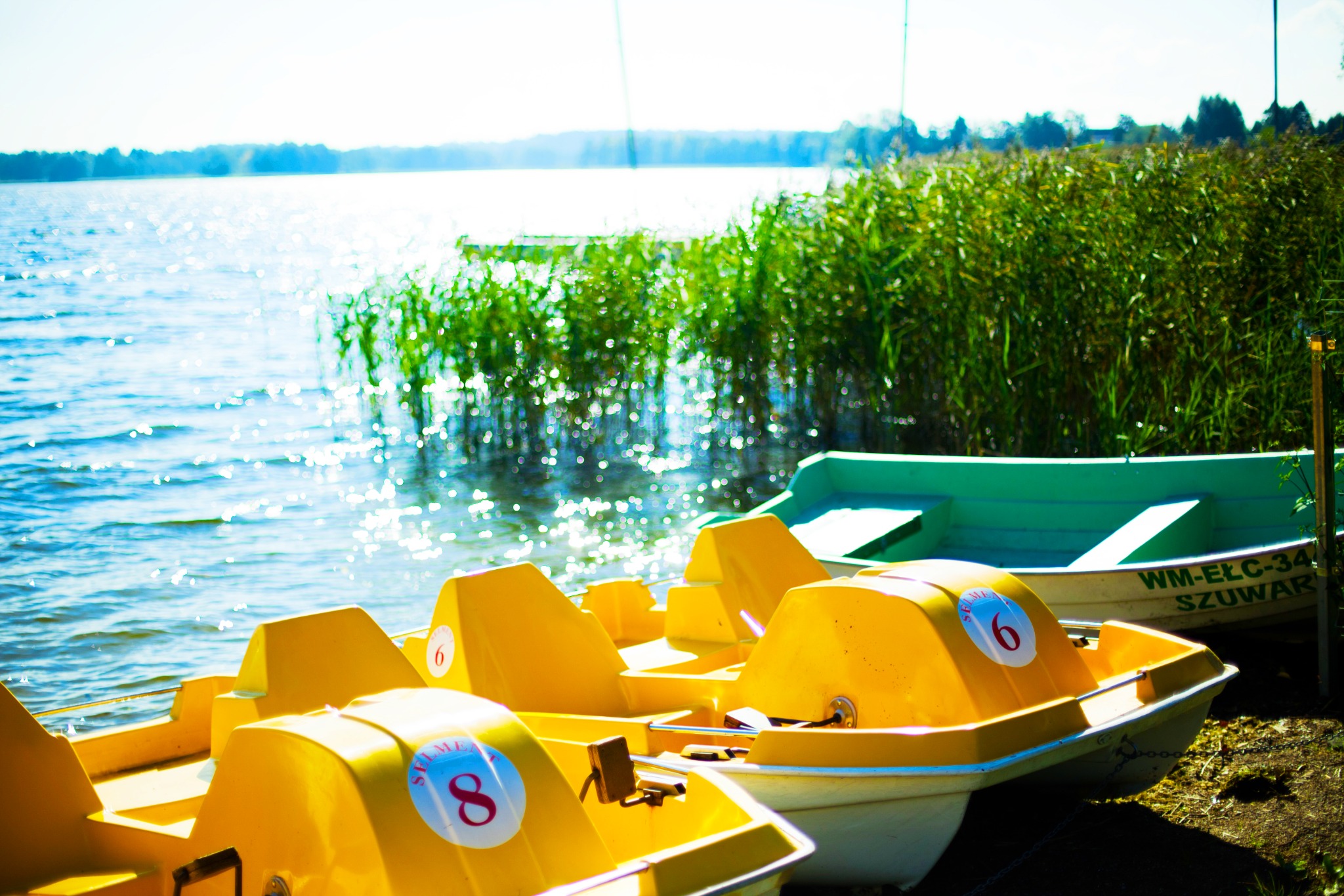 Żółte rowery wodne z numerami 6 i 8 stojące na brzegu jeziora, w tle woda i trzciny
