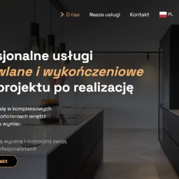 Francky Iside - Strona internetowa firmy budowlano-wykończeniowej z minimalistyczną grafiką i nowoczesnym wnętrzem kuchennym w tle, prezentująca ofertę kompleksowych usług od projektu po realizację.