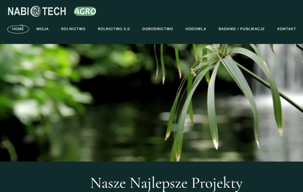 Strona internetowa firmy z branży rolniczej, z widocznym menu nawigacyjnym i motywem roślinnym w tle.