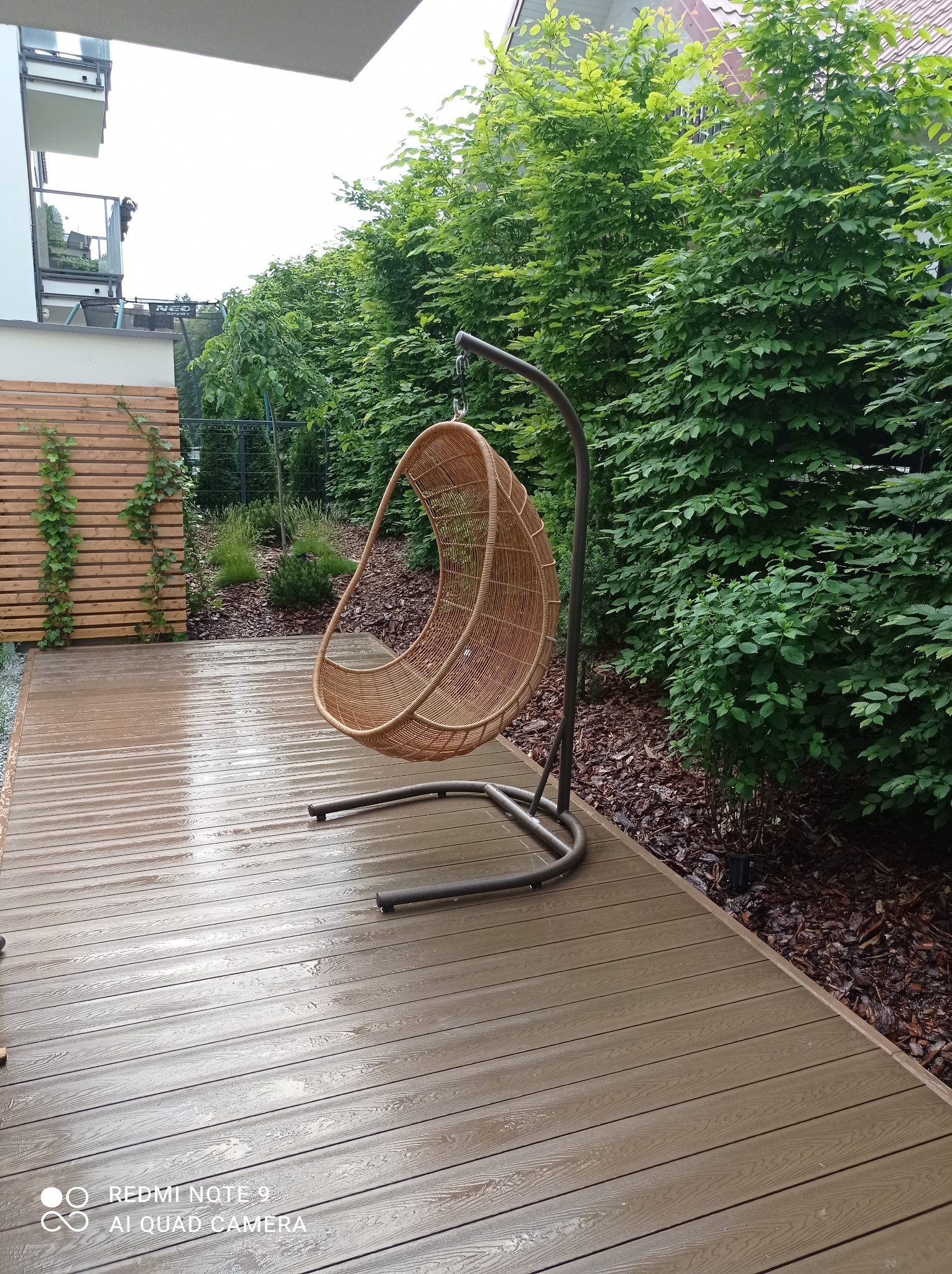 Rattanowy fotel wiszący na tarasie z desek kompozytowych, obok zadbany żywopłot i drewniana ścianka z pnączami, widoczne ślady deszczu.