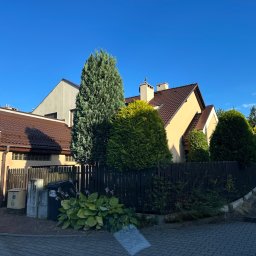Minor Malowanie Dachów - Dom jednorodzinny z brązowym dachem z dachówki i jasną elewacją, częściowo zasłonięty zielonymi krzewami i wysokim drzewem. Widoczne czyste rynny i ciemny płot. Błękitne niebo.