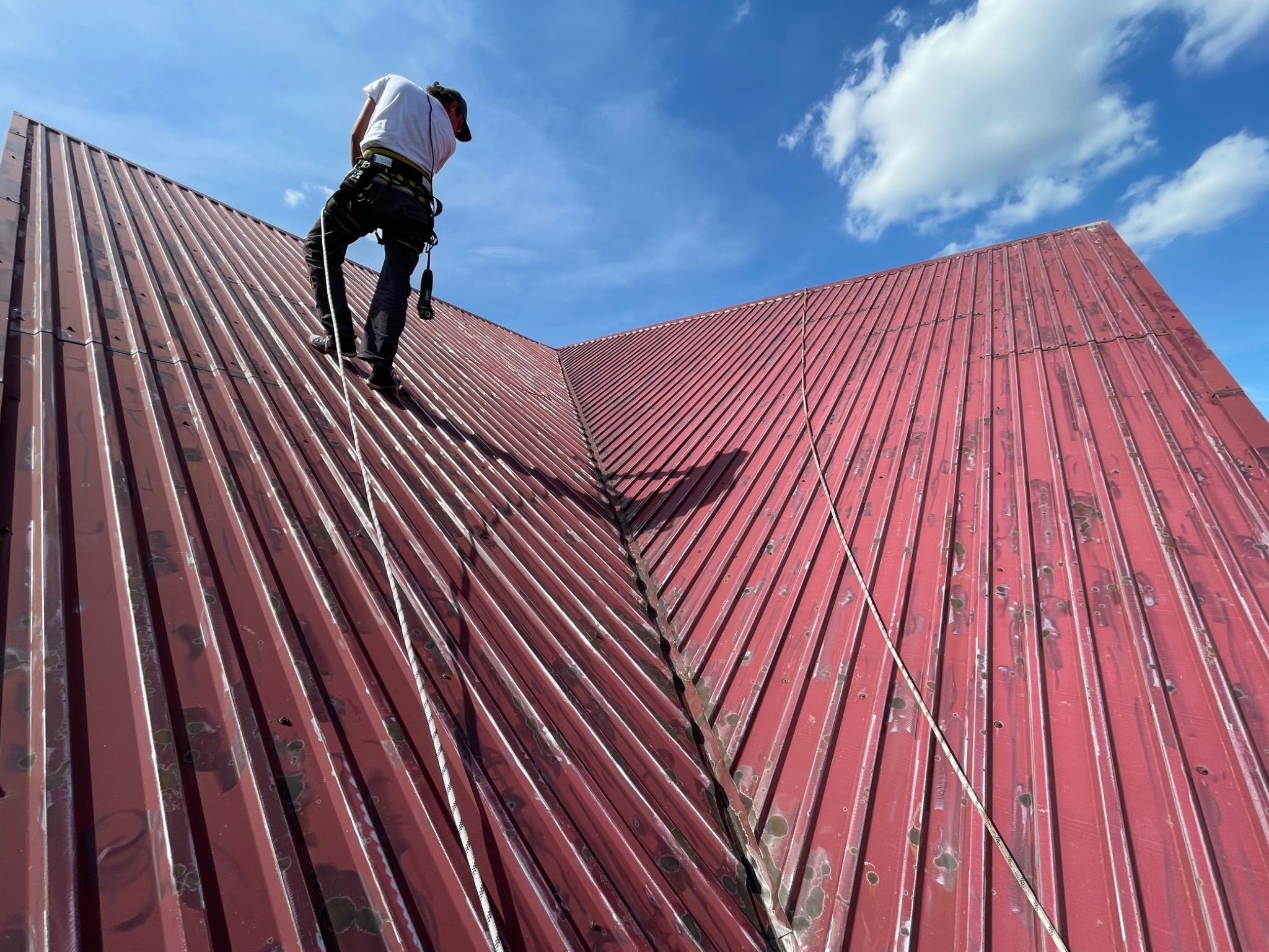 Pracownik w uprzęży na czerwonym, metalowym dachu podczas słonecznego dnia. Widoczne ślady zabrudzeń na powierzchni dachu i lina zabezpieczająca.