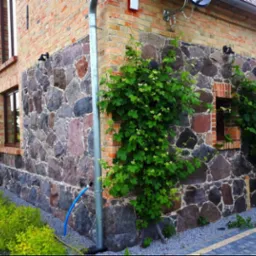 Fragment elewacji budynku z kamienną okładziną, miejscami porośniętą bluszczem, z widoczną rurą spustową i fragmentem chodnika z kostki brukowej.