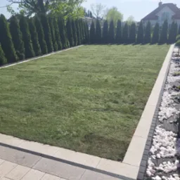 Równy trawnik otoczony rzędem wysokich tuj, z obrzeżem z kostki brukowej i rabatą z białych kamieni, na tle jasnego domu i błękitnego nieba.