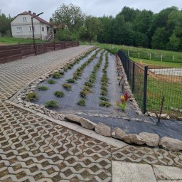 Kris ogrody - Wysokiej Klasy Projektowanie Trawników Rzeszów