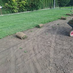 Kris ogrody - Rozkładanie trawy z rolki na siatce w ogrodzie. Częściowo ułożona trawa, taczka z rolkami trawy, widoczny pracownik w niebieskiej bluzie.