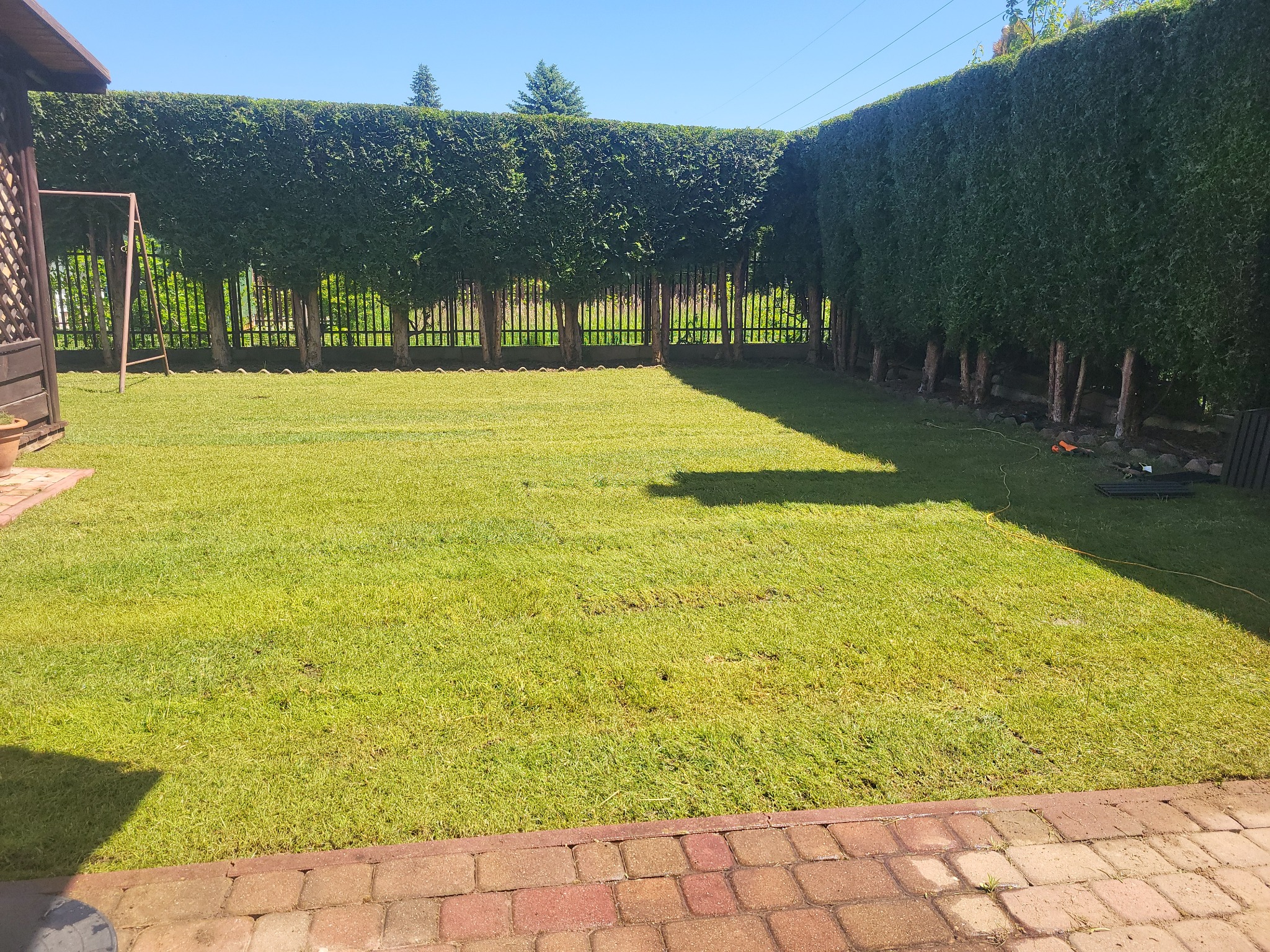 Starannie utrzymany trawnik z równo przyciętym żywopłotem z tui w tle, widok z perspektywy tarasu wyłożonego czerwoną kostką brukową.