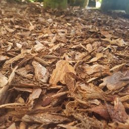 Trawa z rolki Ciechanów 3