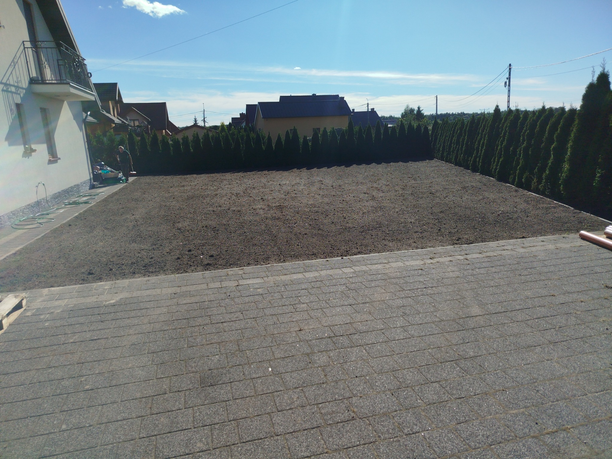 Przygotowany teren pod trawnik z rolki, widok z kostki brukowej. W tle rząd tuj i domy. Prace ogrodnicze w słoneczny dzień.