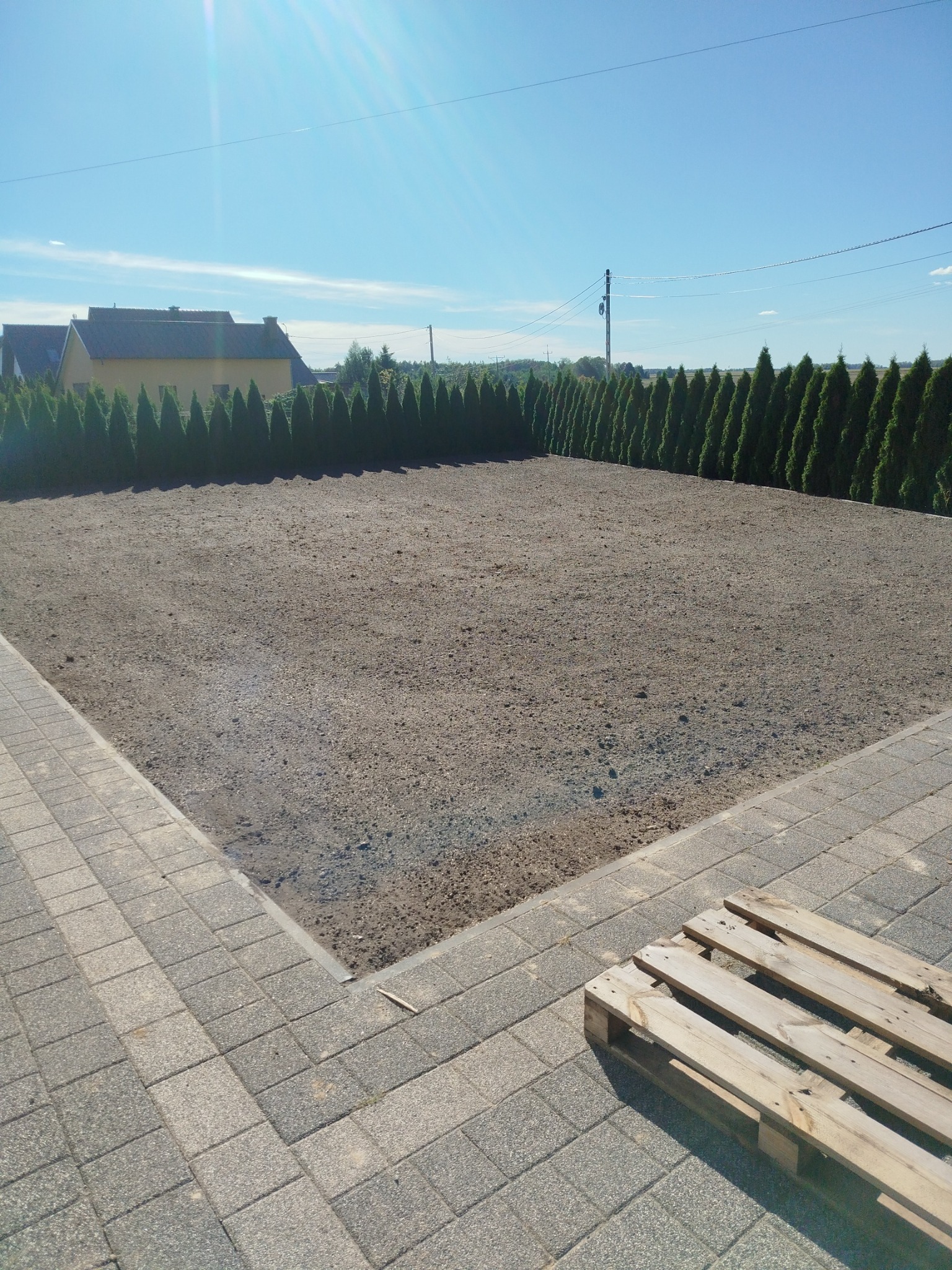 Przygotowany teren pod trawnik, obrzeża z kostki, rząd tuj w tle. Paleta drewniana w rogu kadru. Słoneczny dzień.