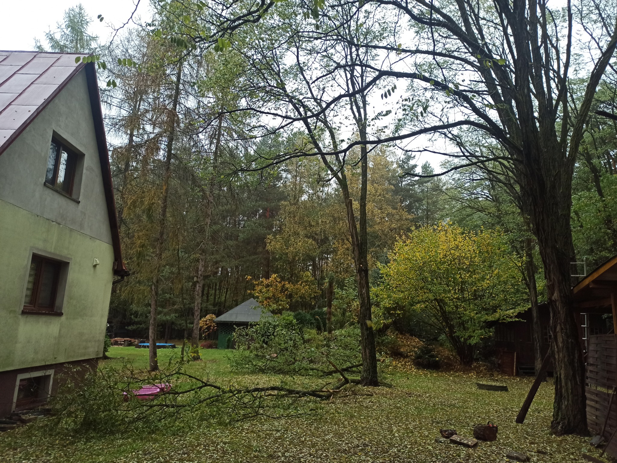 Połamane gałęzie drzewa leżące na trawniku obok domu z ogrodem, w tle widoczny las.