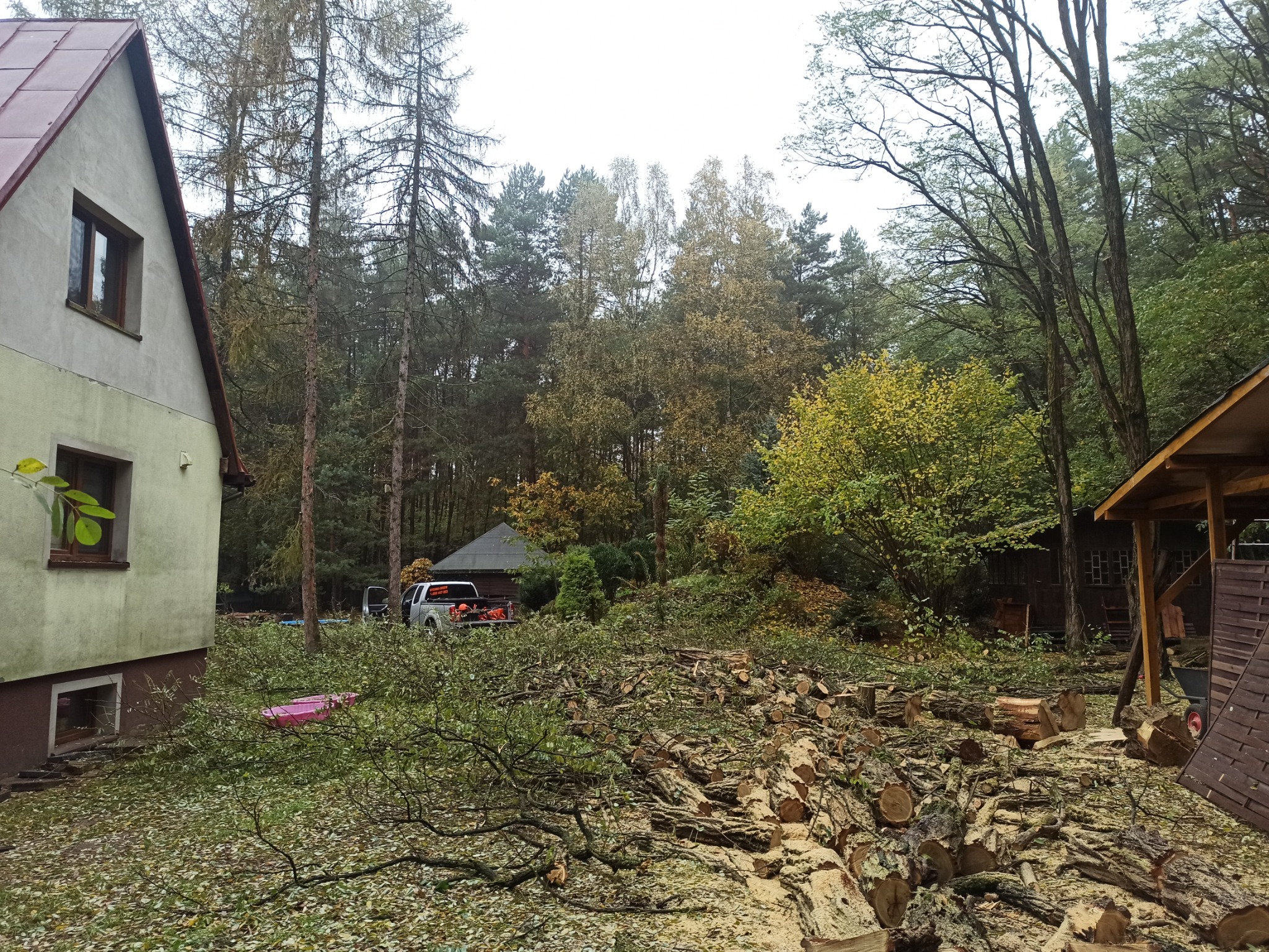 Stosy pociętych pni drzew leżące na trawniku przed domem i lasem, w tle zaparkowany pickup z narzędziami.