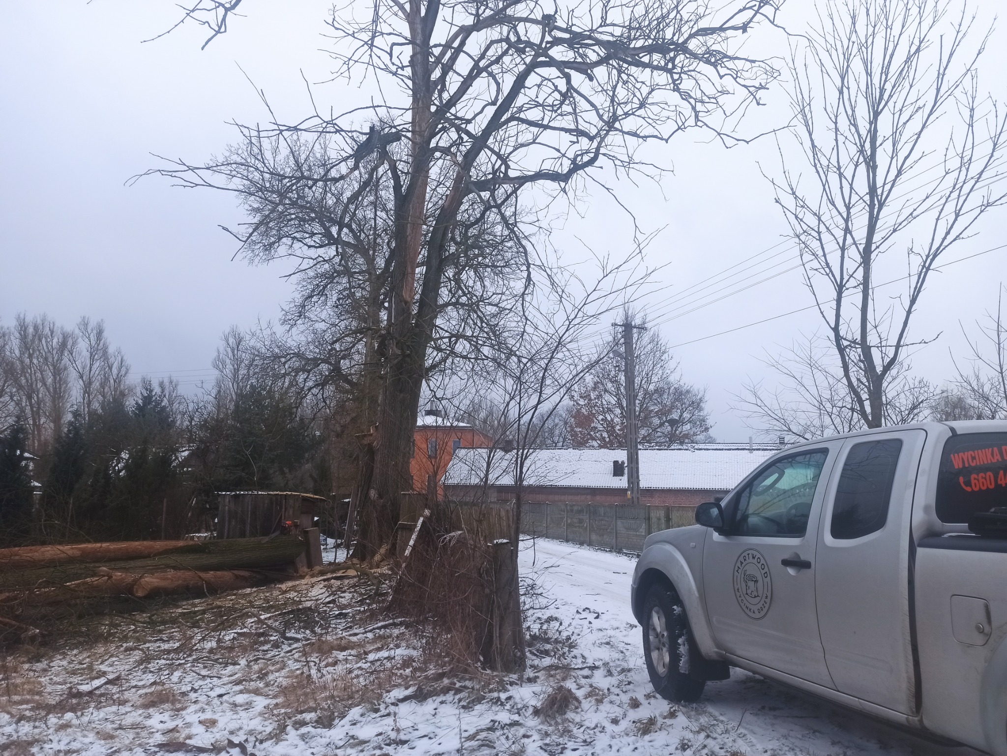 Srebrny pickup z naklejką 'Wycinka Drzew' na szybie, zaparkowany obok ściętego drzewa w zimowej scenerii z ośnieżonym podłożem.