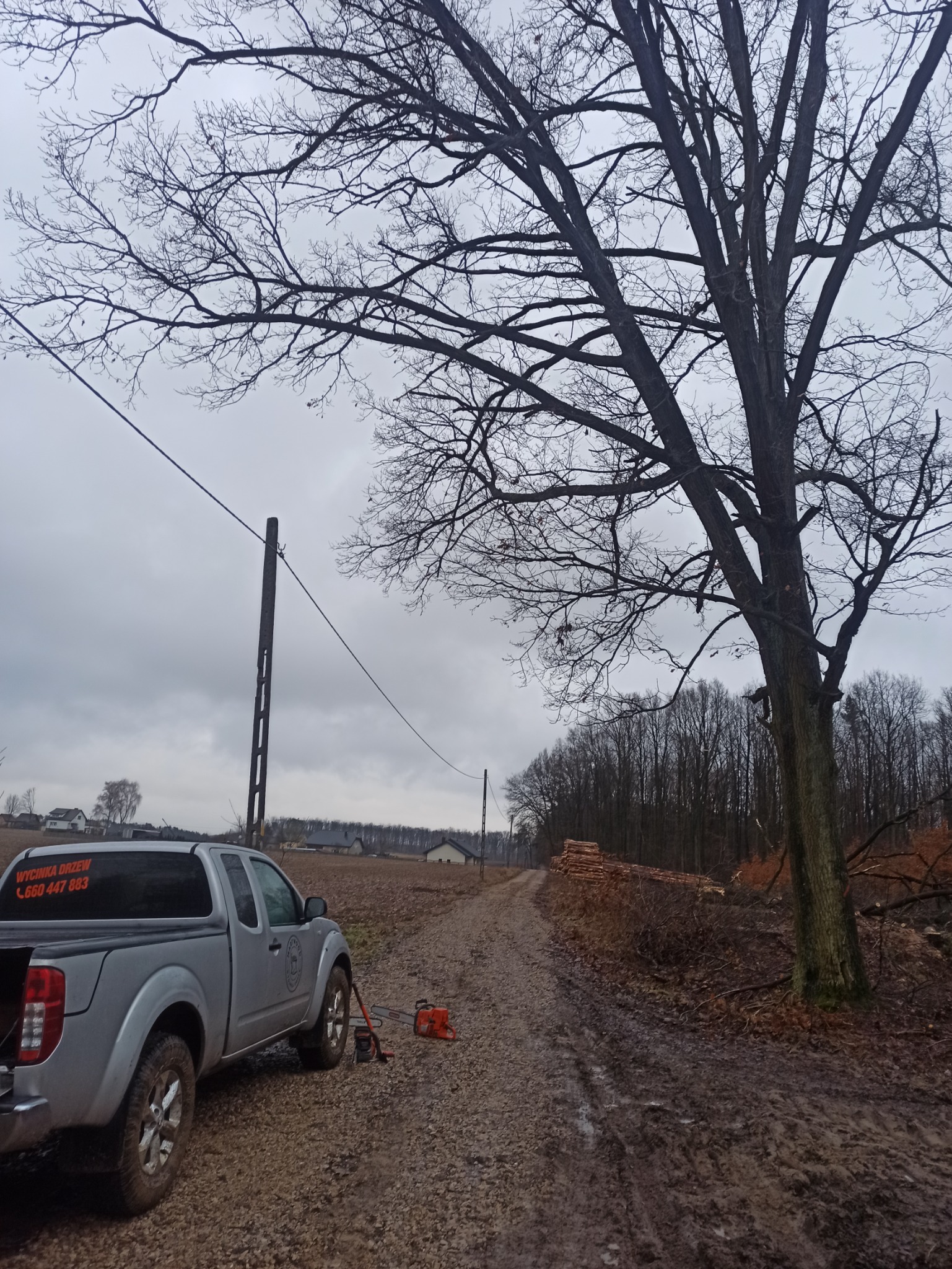 Srebrny pickup z napisem 'Wycinka drzew' zaparkowany na błotnistej drodze polnej obok ściętego drzewa, w tle sterta pociętego drewna i las pod pochmurnym niebem. Obok piły łańcuchowej leży kanister...
