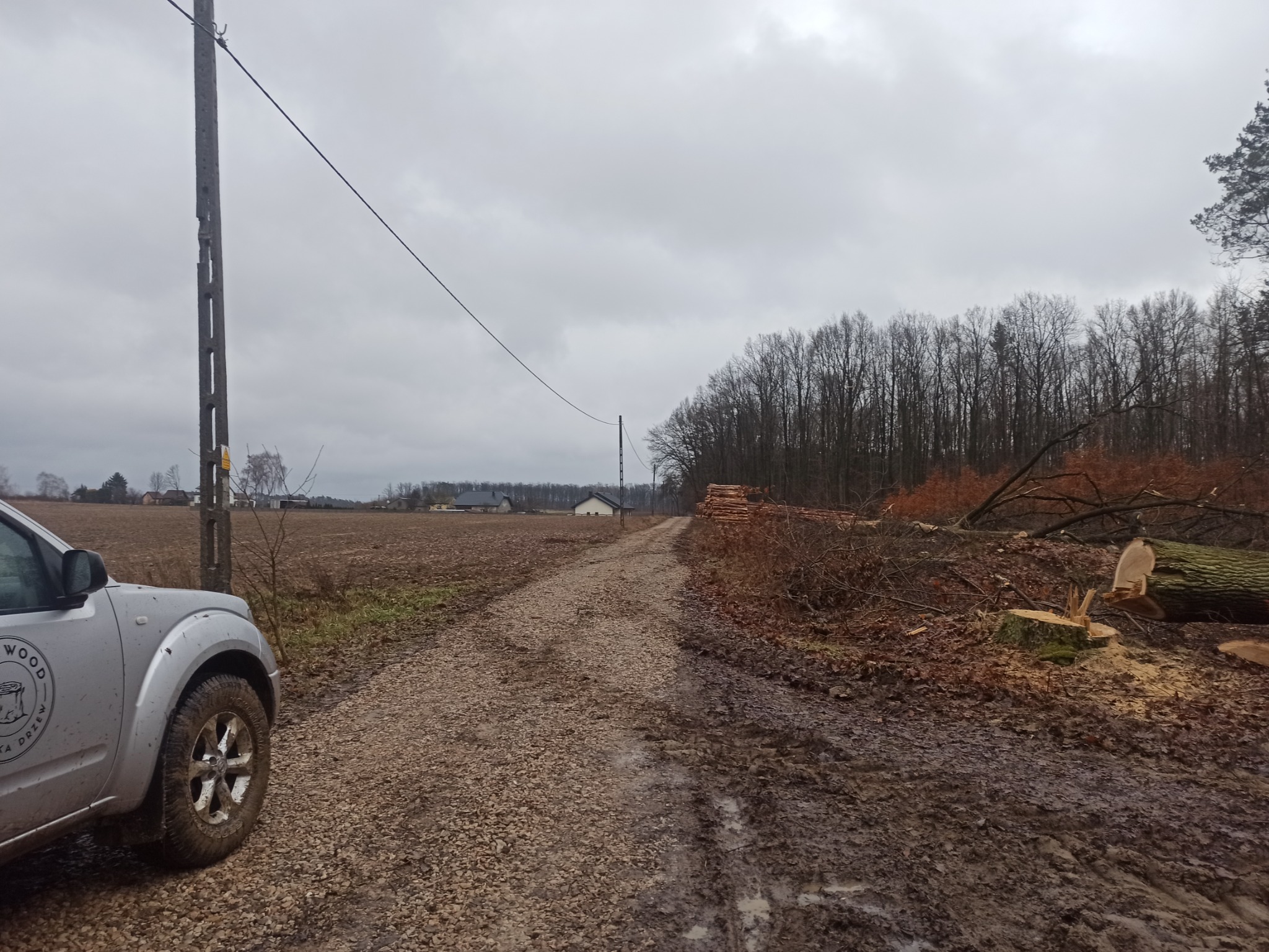 Pobocze leśnej drogi z błotem, świeżo ścięte pnie drzew i sterta pociętych gałęzi, w tle las i zabudowania, częściowo widoczny samochód terenowy z logo firmy zajmującej się wycinką drzew.