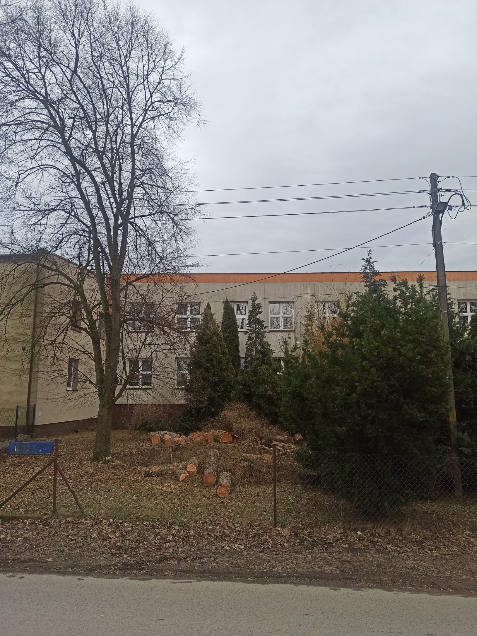 Świeżo pocięte kłody drzewa ułożone na trawie przed budynkiem z widocznymi oknami i nagim drzewem bez liści, całość ogrodzona siatką.