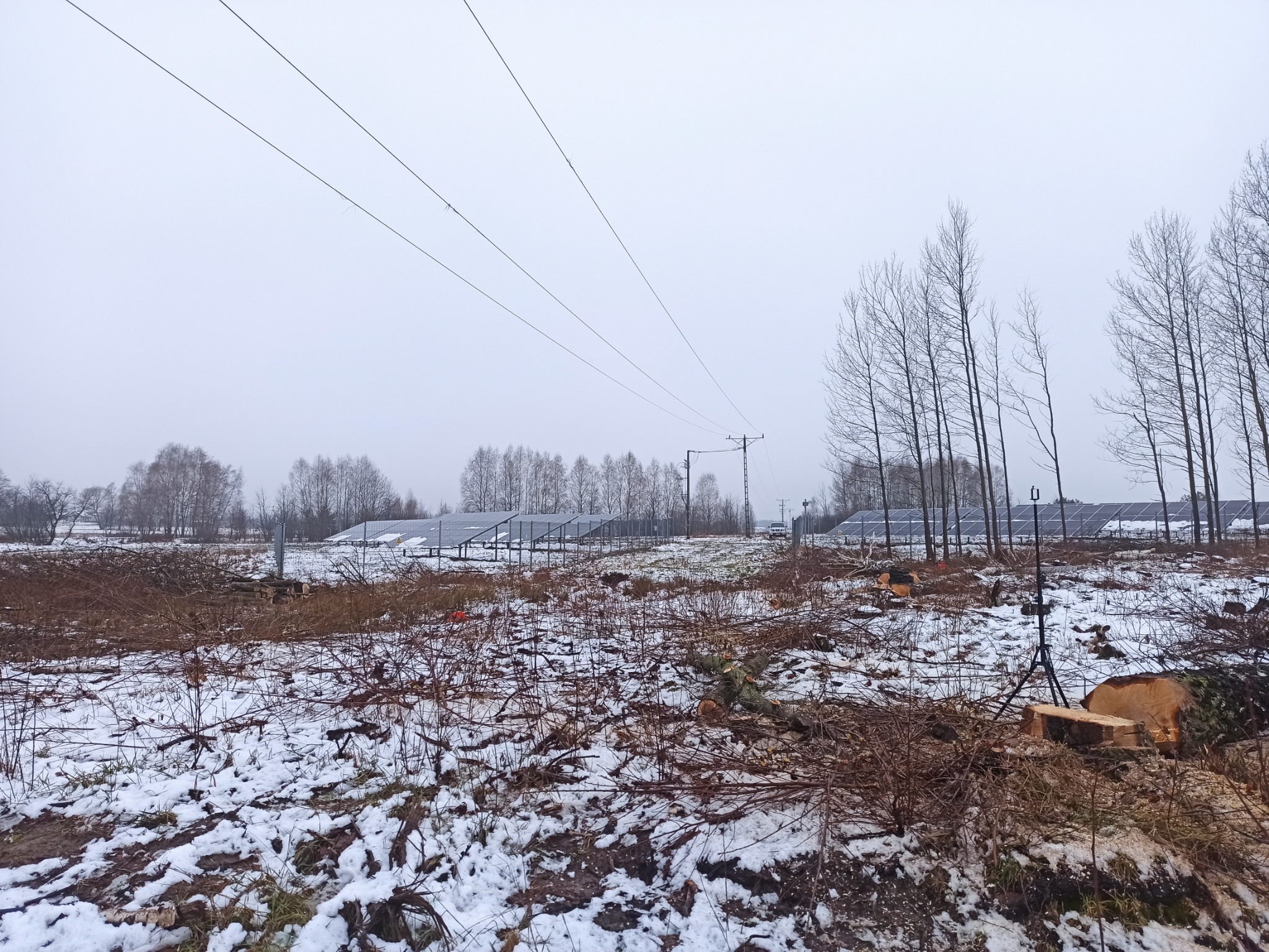 Ścięte pnie drzew na zaśnieżonym terenie, w tle panele fotowoltaiczne i linia wysokiego napięcia, widoczny statyw z telefonem.