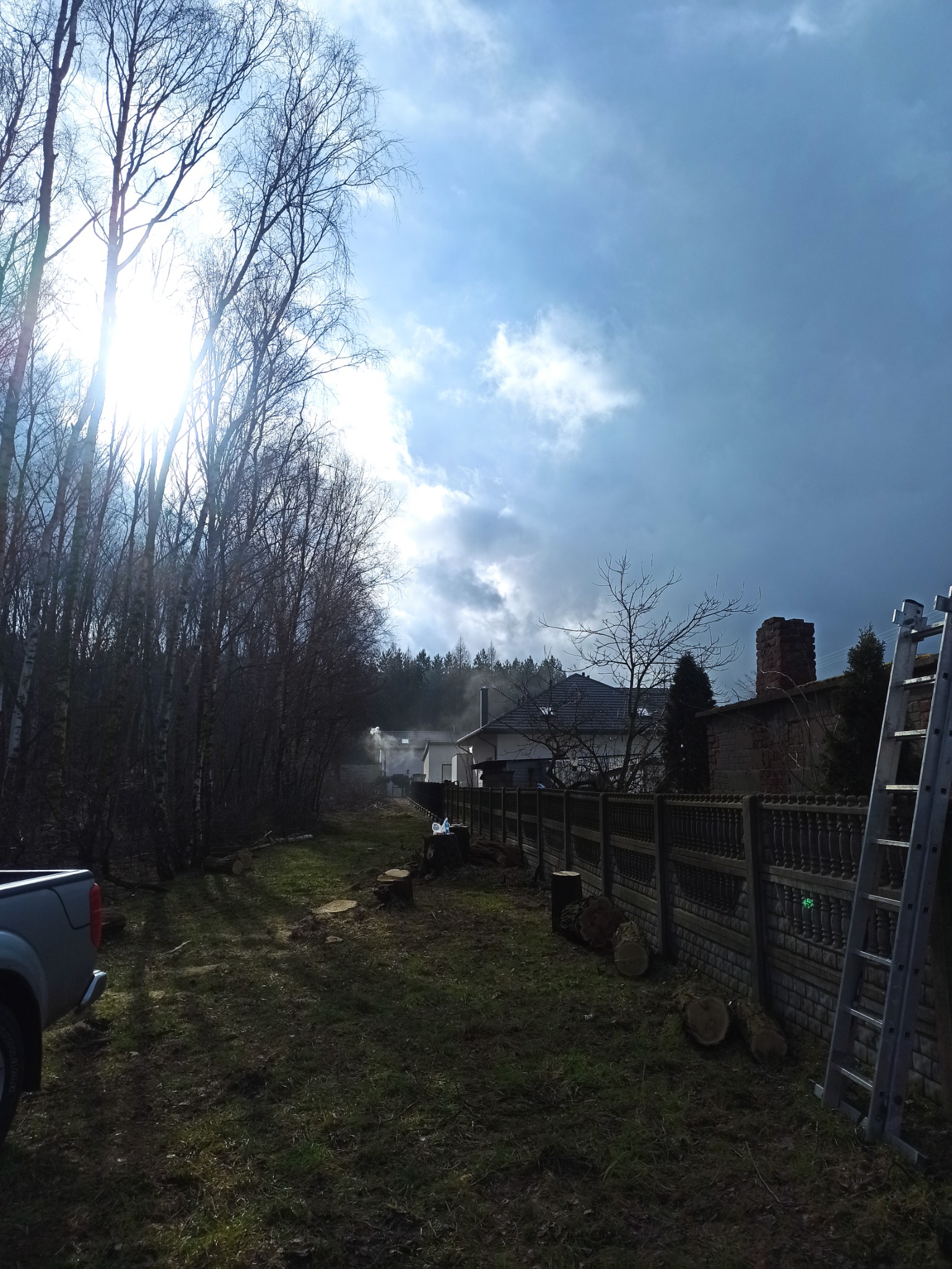 Teren po wycince drzew z widocznymi pniami, pociętymi kłodami drewna, w tle domy jednorodzinne i las, drabina oparta o ogrodzenie, fragment samochodu po lewej stronie kadru, pochmurne niebo.