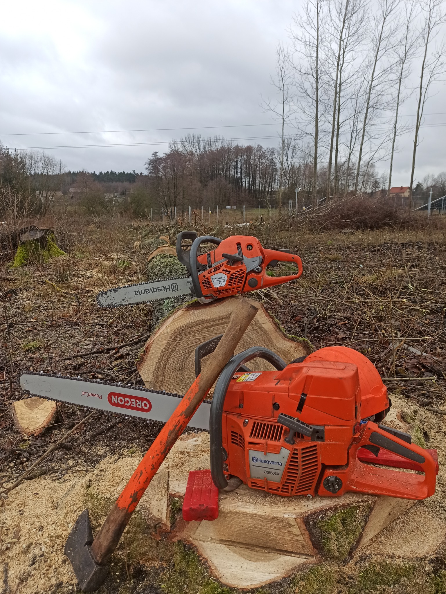 Dwie pomarańczowe piły łańcuchowe Husqvarna, model 562 XP i 395 XP, leżą na pniu drzewa obok siekiery i czerwonego klina do drewna, w tle widoczne ścięte drzewa i pochmurne niebo.