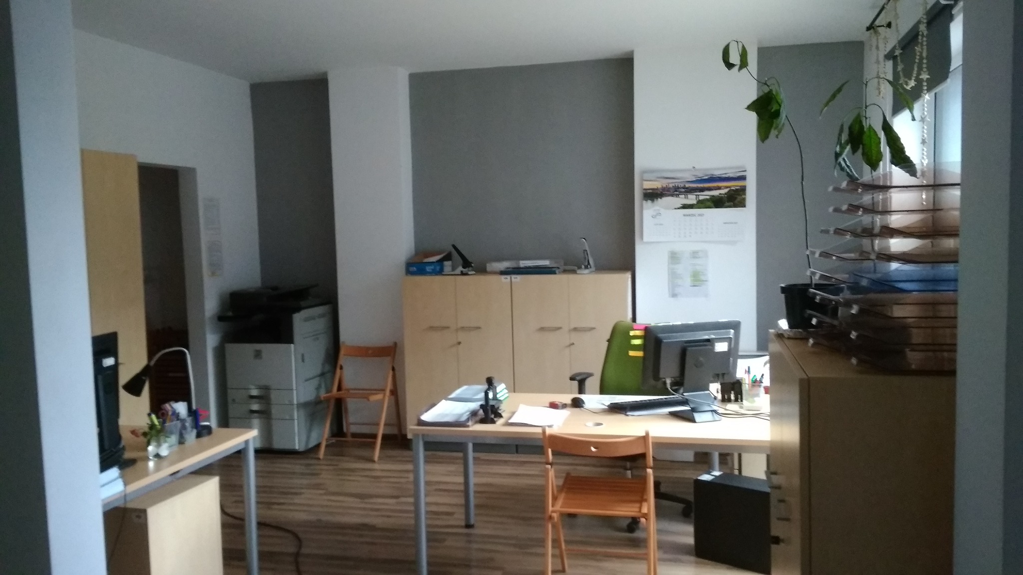 Uporządkowane biuro z biurkami, krzesłami, szafkami i drukarką; na biurkach dokumenty i komputery, roślina doniczkowa na szafce