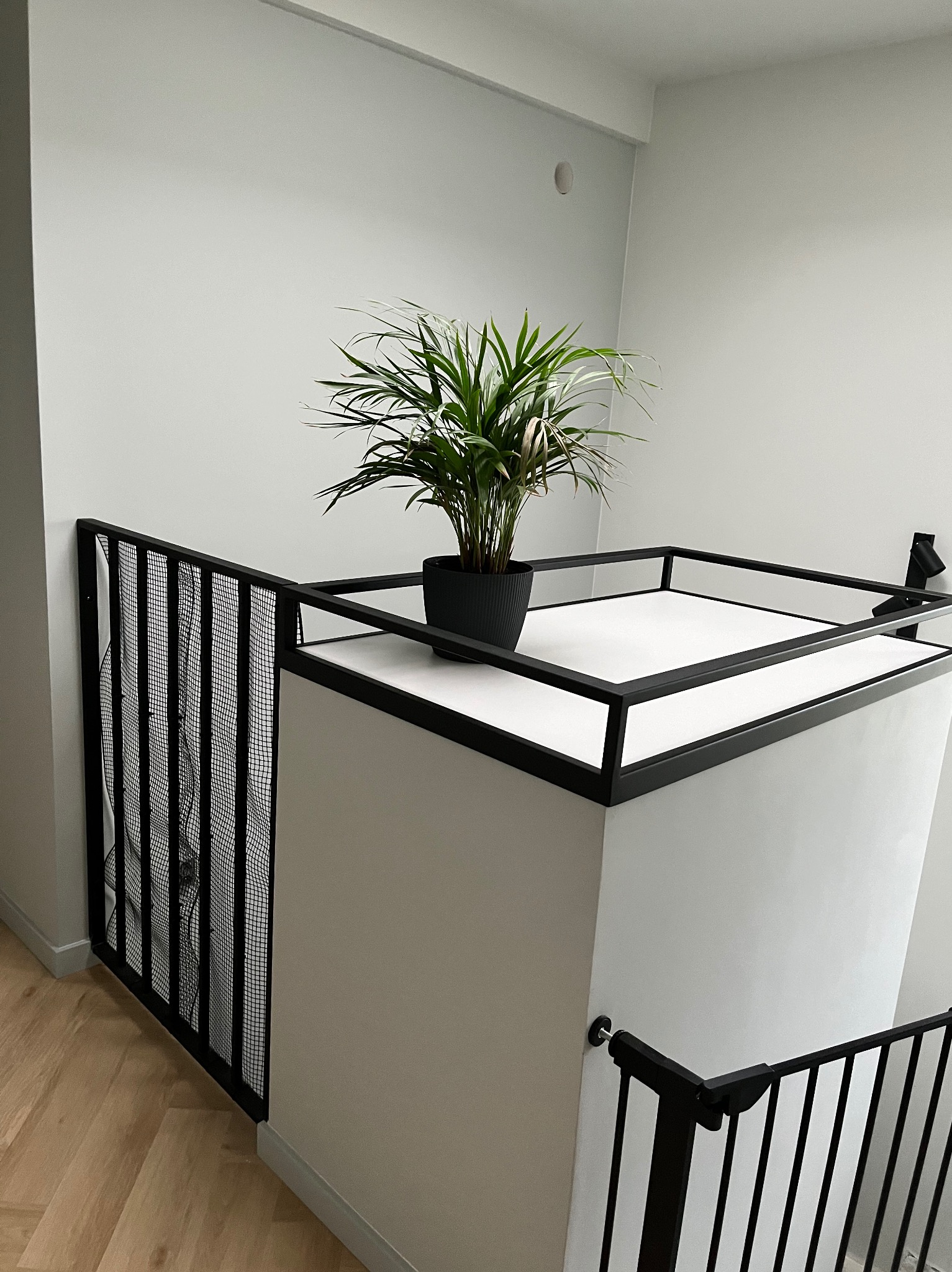 Nowoczesna balustrada schodowa w kolorze czarnym z wypełnieniem z siatki, zwieńczona blatem z doniczką z zieloną rośliną, minimalistyczne wnętrze.