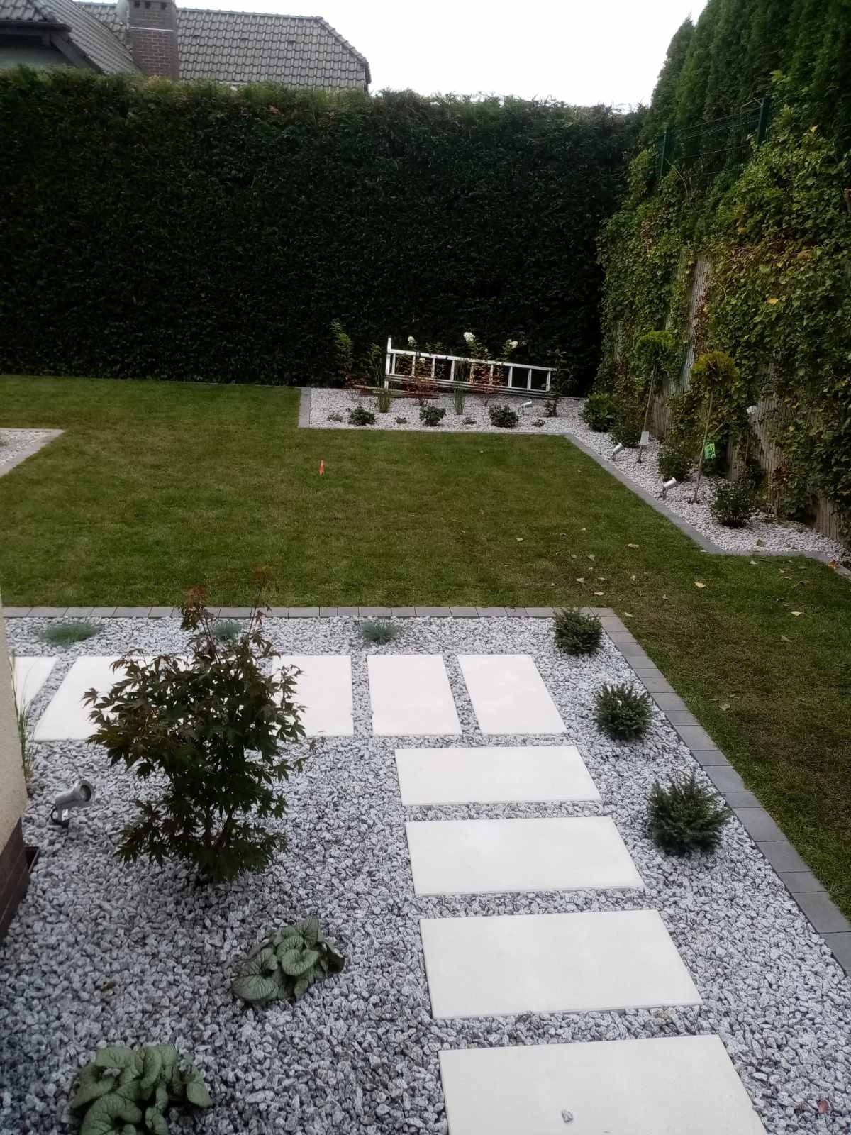 Ogród z ścieżką z białych płyt ułożonych na szarym żwirze, małe drzewko w centrum, trawnik w tle, żywopłot i drabina oparta o żywopłot.