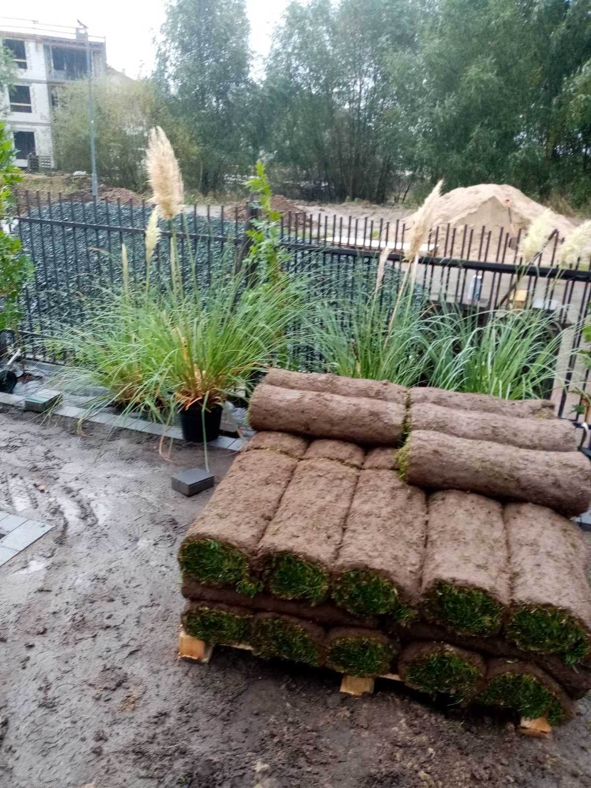 Paleta z rolkami trawy w pobliżu czarnego metalowego ogrodzenia i ozdobnych traw w donicach, widoczny fragment kostki brukowej i budynek w tle.