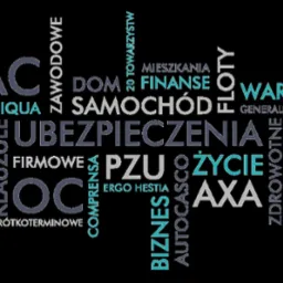 Grafika słowna na czarnym tle, prezentująca hasła związane z ubezpieczeniami, finansami i firmami ubezpieczeniowymi, takie jak 'ubezpieczenia', 'życie', 'dom', 'samochód', 'biznes', 'OC', 'PZU'...