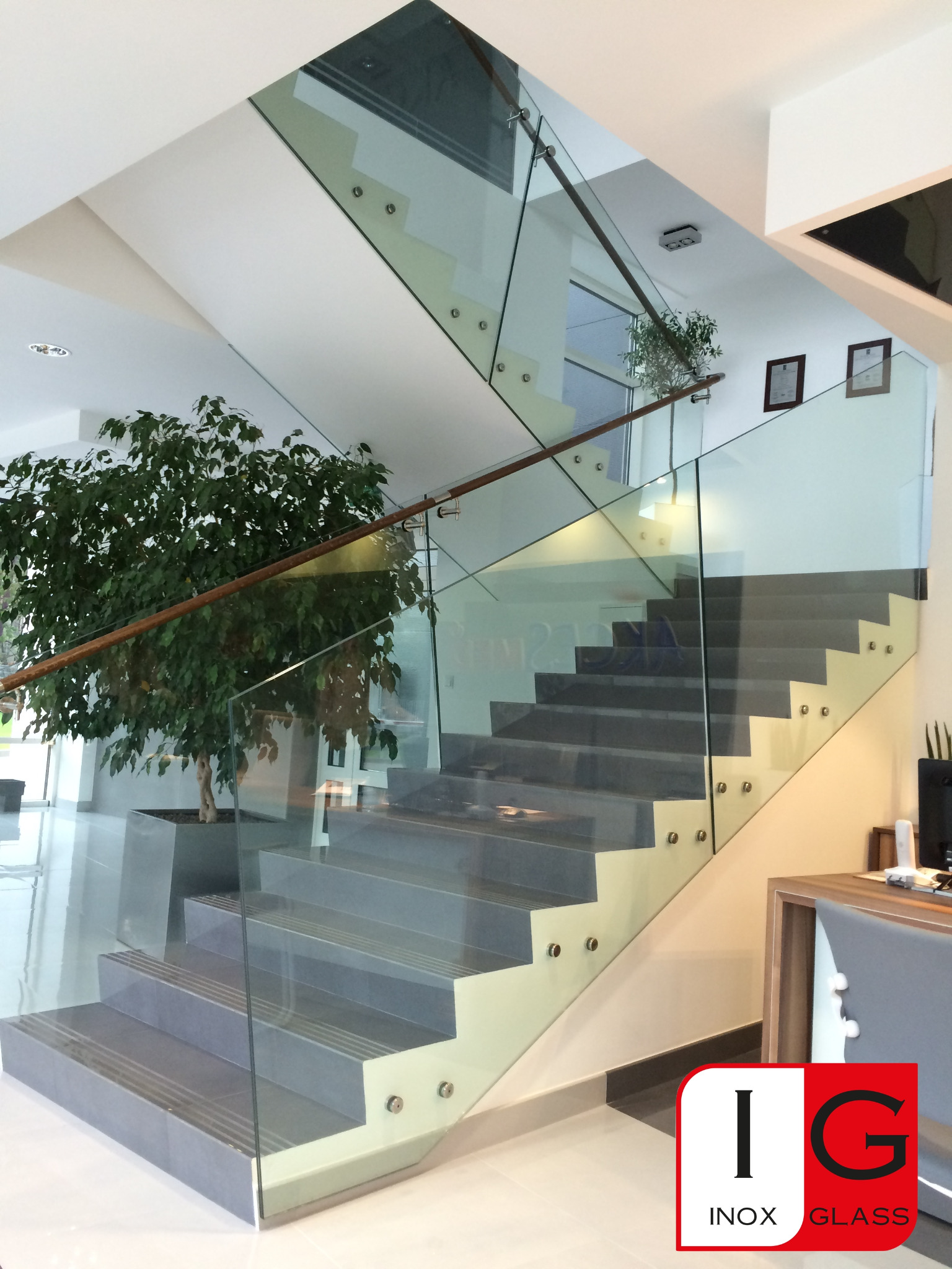 Nowoczesne schody z szarymi stopniami i szklaną balustradą mocowaną punktowo, z drewnianą poręczą, doświetlone naturalnym światłem, obok donica z zieloną rośliną, w tle widoczne dyplomy na ścianie.