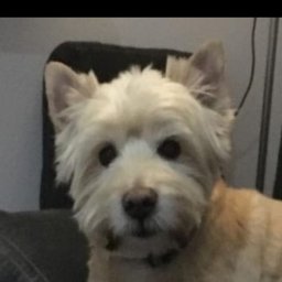 Uslugi budowlane - Urządzenie Łazienki Cieszyn