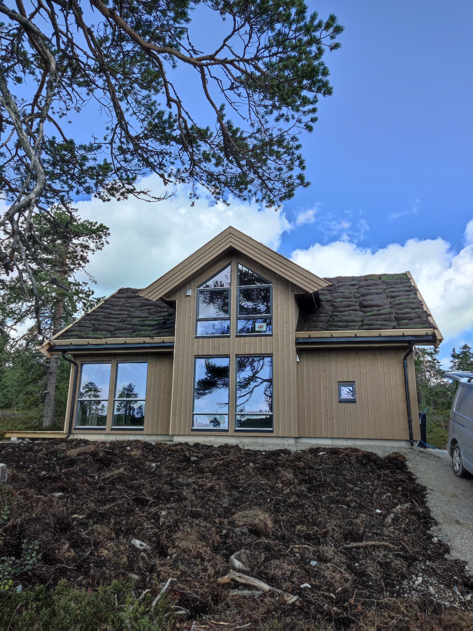 Nowoczesny dom z drewnianą elewacją i dachem pokrytym darnią, widok z dołu, na pierwszym planie ziemia i gałęzie drzewa