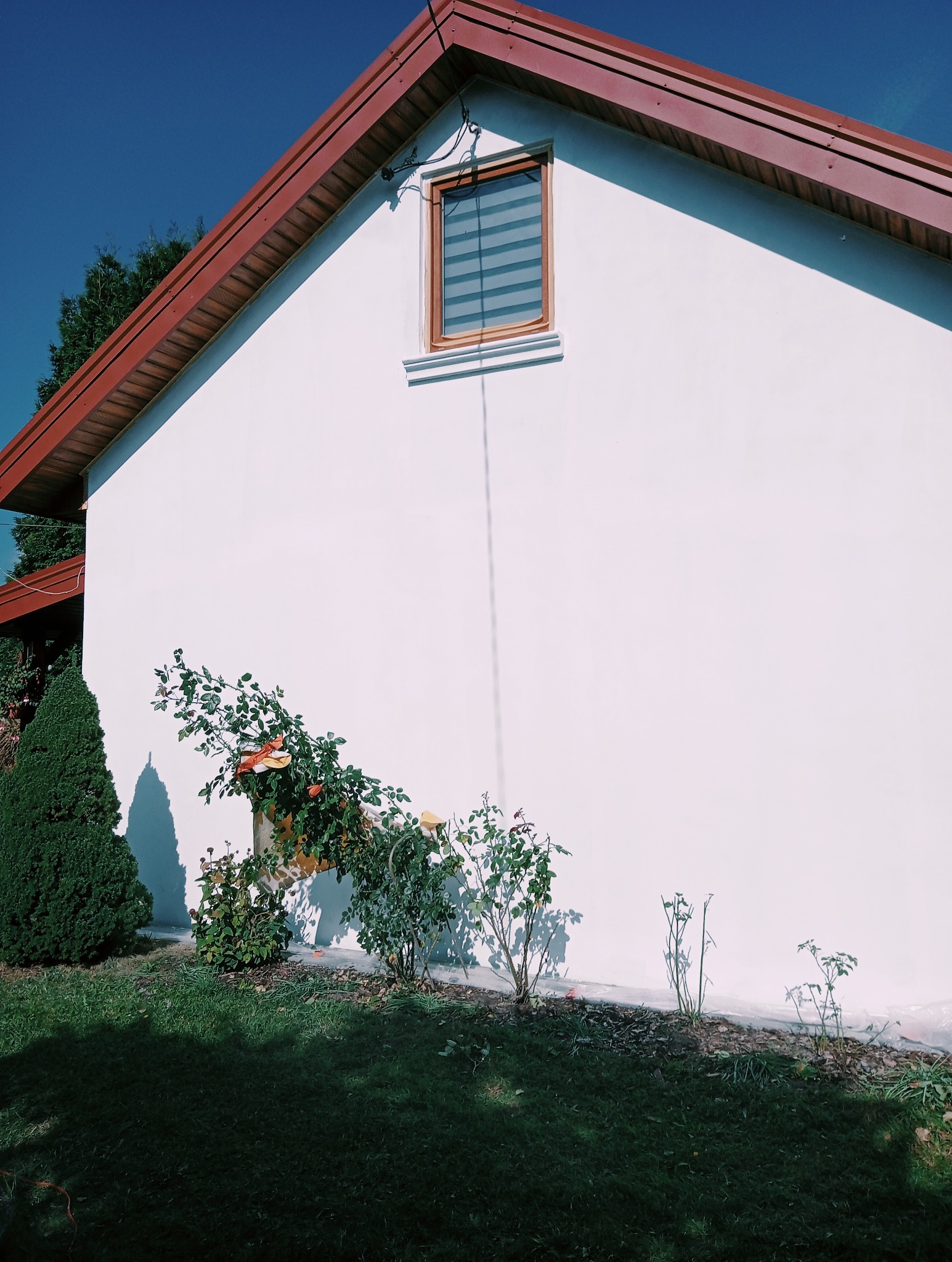 Boczny widok otynkowanego domu z brązowym dachem, oknem z żaluzjami i pnącymi się różami wzdłuż ściany, otoczony zielonym trawnikiem.